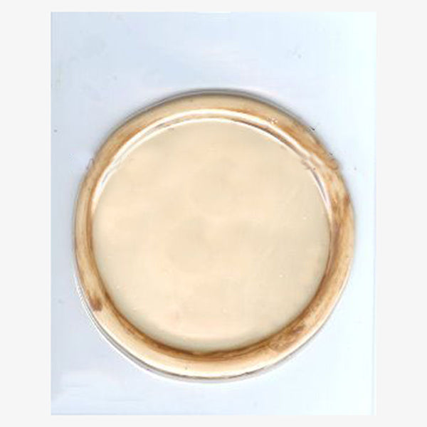 Pizza Crust Chocolate Mold Pizza Crust Chocolate Mold