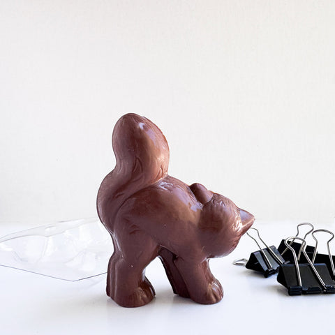The back side of a 3d chocolate cat next to the clear plastic candy mold and binder clips used to make it. All sitting on a white background.