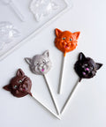 Four cat-face lollipops in dark chocolate, gray, orange, and milk chocolate, arranged on a white surface with a clear plastic candy mold partially visible in the upper left corner.