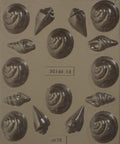 assorted snails candy mold