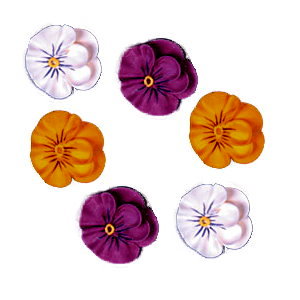 small royal icing pansy assortment