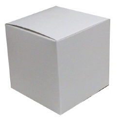 4 X 4" White Square Box