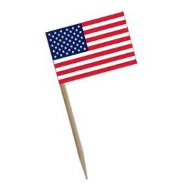 US Flag Picks
