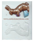 5 1/2 in. Bunny Candy Mold