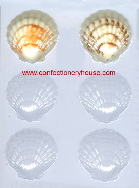 Fancy Seashells Candy Molds