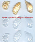 Shell Assortment Candy Molds