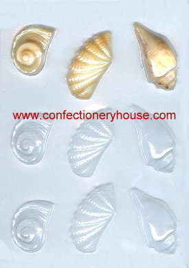 Shell Assortment Candy Mold - Confectionery House