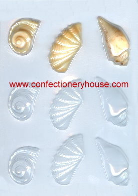 Shell Assortment Candy Molds