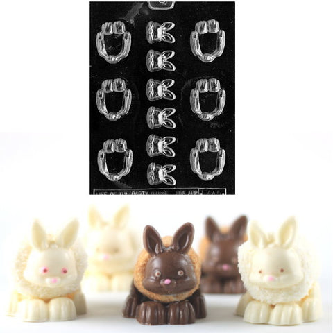 https://confectioneryhouse.com/cdn/shop/products/marshmallo_bunny_and_mold.jpg?v=1684454666&width=480