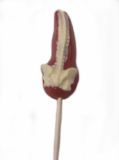 Spine Backbone Lollipop Chocolate Mold